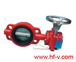 ������̖(h��o)���y