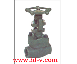 �z�����l�y