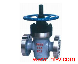 ������ֹ�y